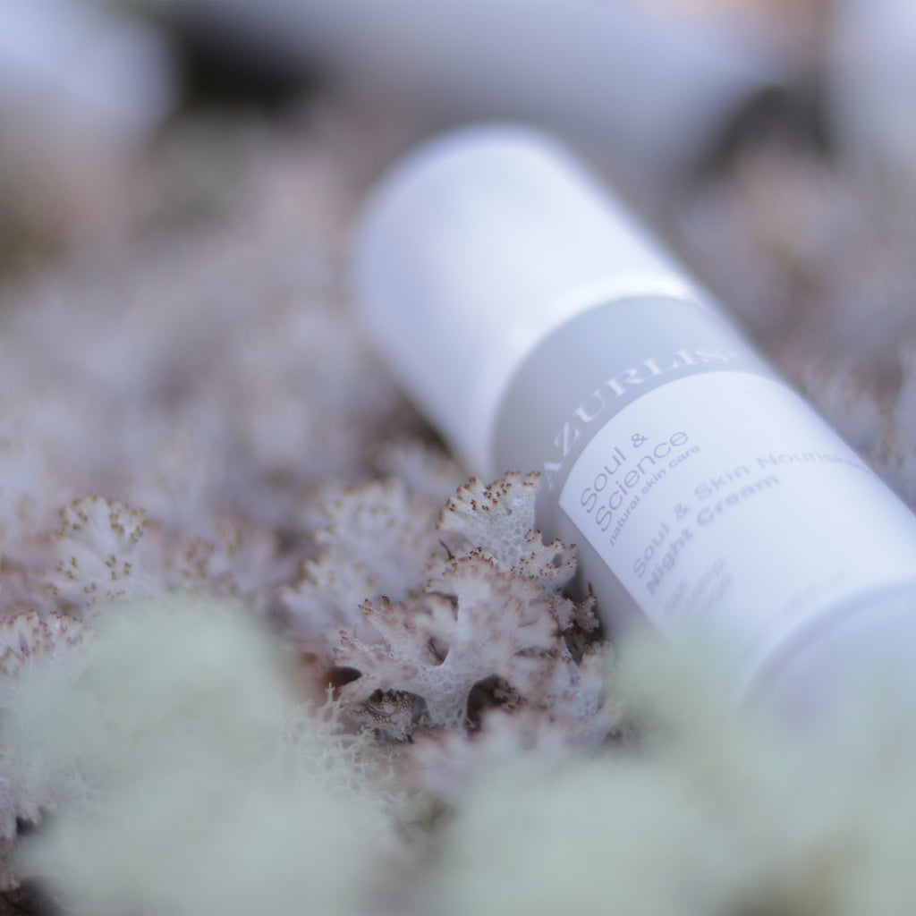 SOUL & SKIN NOURISHING NIGHT CREAM